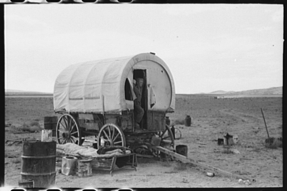 Covered Wagon